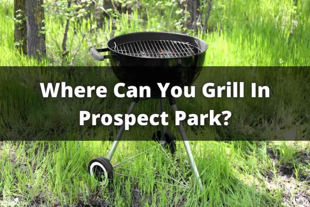 Where Can You Grill In Prospect Park