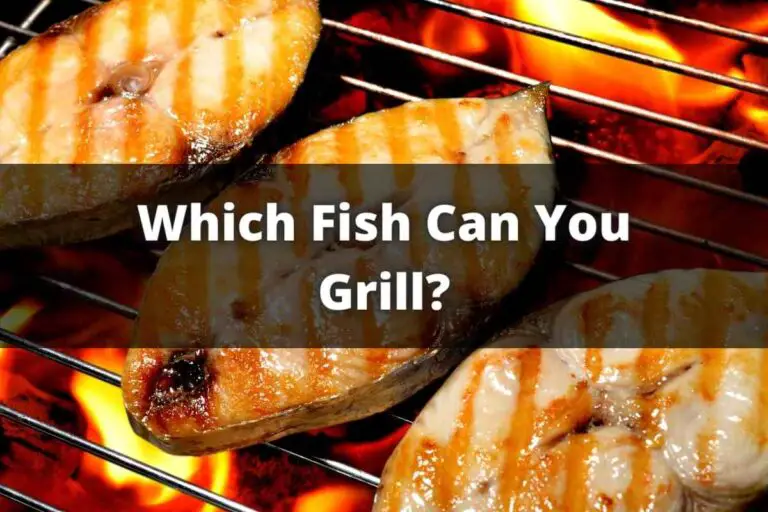 Which Fish Can You Grill?